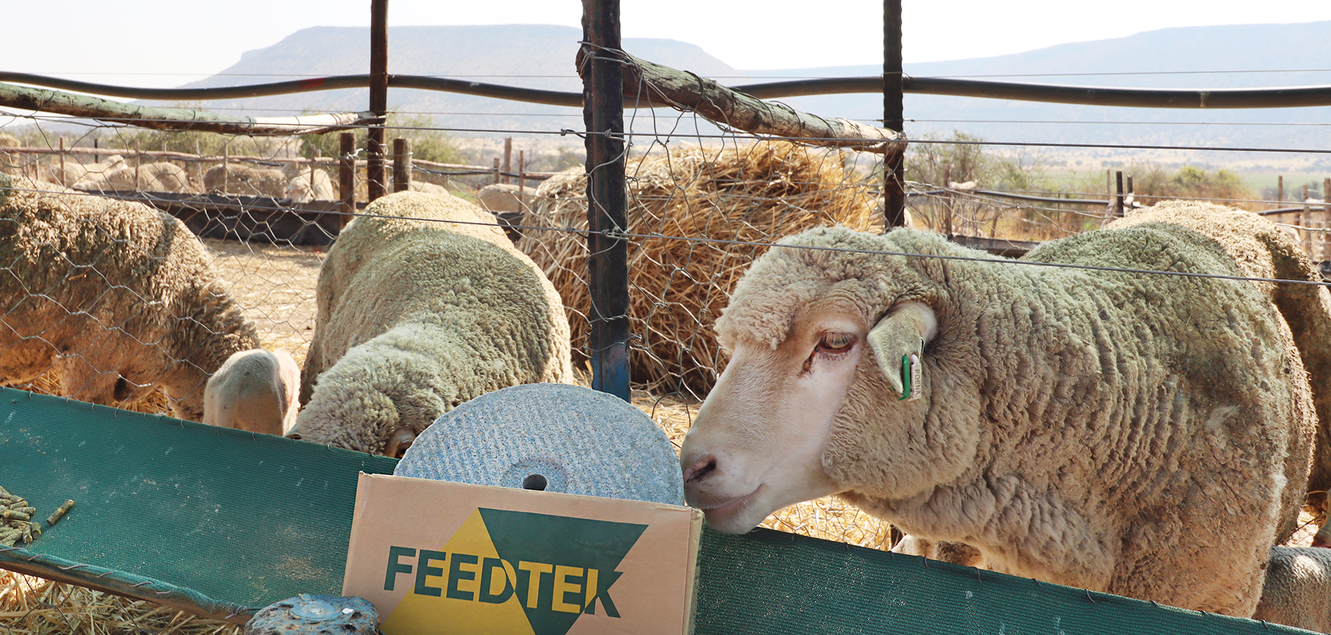 Feedtek Technical Information